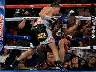 provodnikov-alvarado