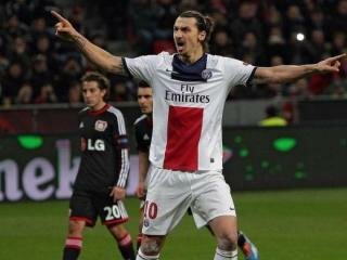 bayer-psg